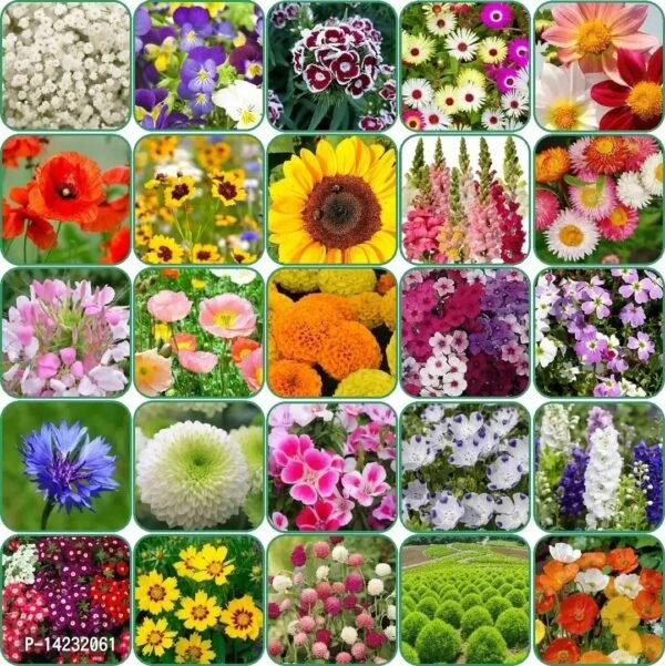 25 Varieties of Flower Seeds Combo Spring, Summer, Winter